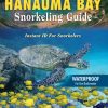 Hanauma Bay Snorkeling Guide