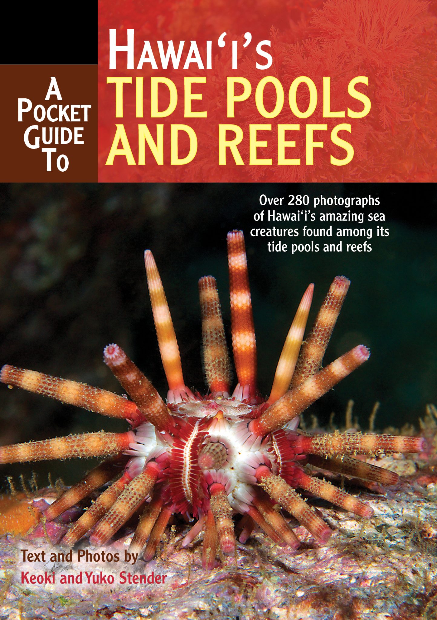 Tide Pool Guide Pocket Guide to Hawaii’s Tide Pools and Reefs, A – Mutual Publishing