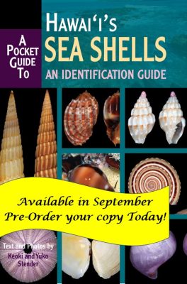 Pocket Guide to Hawaii's Sea Shells