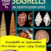 Pocket Guide to Hawaii's Seashells